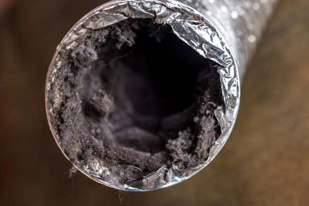 Best Affordable HVAC Duct Cleaning  in Black Earth, WI